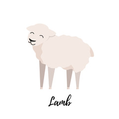 Cute lamb flat isolated. Domestic sheep kid vector illustration