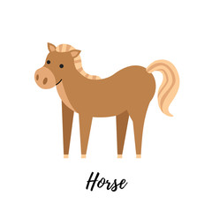Cute colt isolated. Domestic horse kid vector illustration