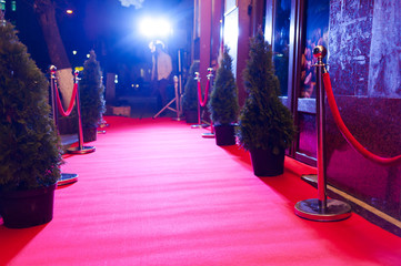red carpet is traditionally used to mark the route taken by heads of state on ceremonial and formal...