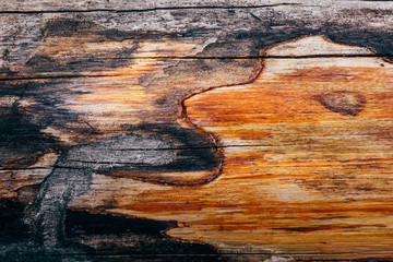 Aged wooden background