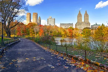 Stickers pour porte Central Park Autumn foliage in Central Park, New York