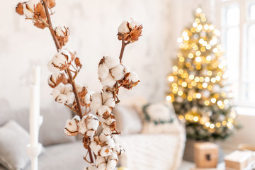 vase with cotton branches. Light living room with Christmas tree. Comfortable sofa, high large Windows.