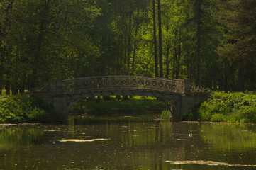 Fototapeta na wymiar Bridge in the forest. Nature landscape with small river