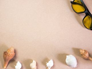 sea shells and sunglass on sand