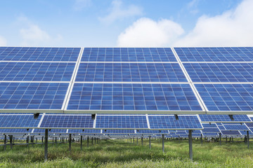 Close up rows array of polycrystalline silicon solar cells or photovoltaics in solar power plant systems convert light energy from the sun 