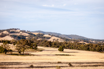 Australian hills