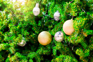 Gold ball and Christmas tree.