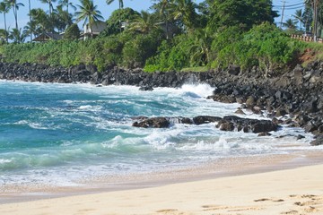 Beach rocks and waves