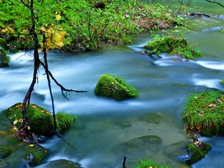 奥入瀬渓流の情景