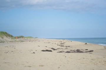 New England Beach