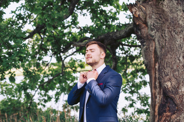 The bridegroom on the wedding day is standing under a tree and straightening a bowtie