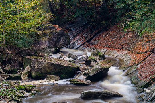 Bach im Herbstwald 2