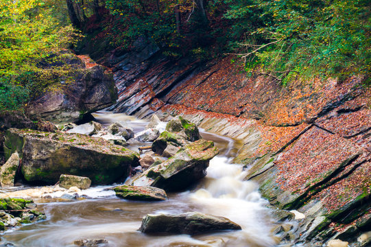 Bach im Herbstwald