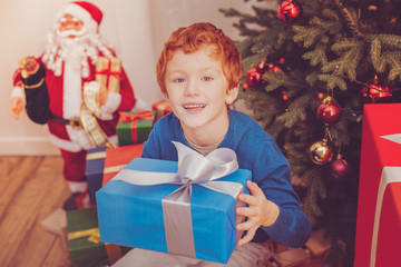 Obraz na płótnie Canvas Nice gift. Upbeat ginger-haired boy posing for the camera and smiling while sitting near the Christmas tree and holding a box with a gift