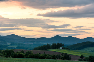 Fototapeta premium 北海道美瑛の風景