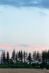 北海道美瑛の風景