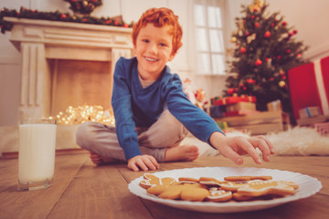 Favorite biscuits. Upbeat red-haired preteen boy sitting cross-legged on the floor and taking a gingerbread biscuit from the plate, having a snack on Christmas Eve