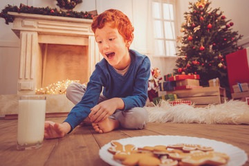 Healthy drink. Charming cheerful red-haired boy sitting cross-legged on the floor and taking a glass of milk while eating cookies on Christmas Eve