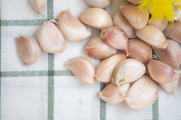 Close up garlic