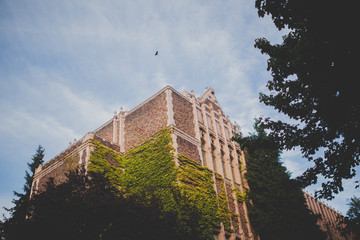 university of washington