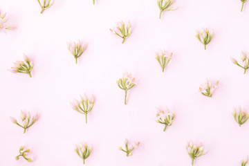 Little pink flower pattern on pink background