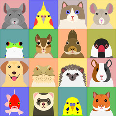 set of various pet animals face