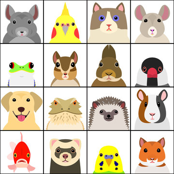 set of various pet animals face