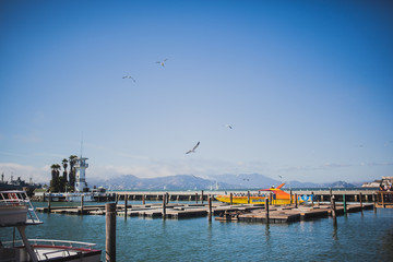 Pier 39