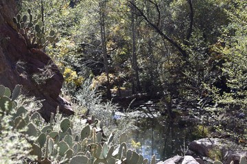 Stream at the bottom of Tonto Natural Bridge State Park in Payson Arizona