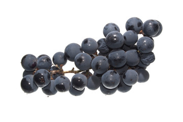 grapes isolated on white background