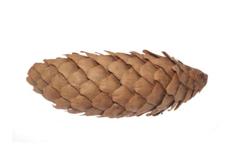 cone isolated on white background