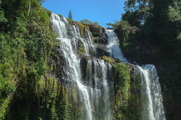 Fototapeta premium Tad Yuang Waterfall ,Pakse ,South Lao