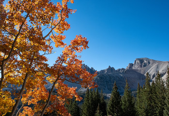 Great Basin