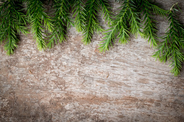 Branches arborvitae, Juniper branches on wood Christmas background