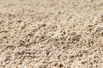 Sand Texture