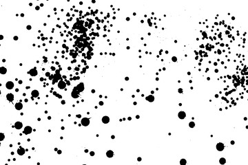 Ink grunge drops texture. Black hand drawn splashes and stains on white background.
