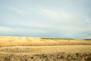 Fototapeta premium Farms