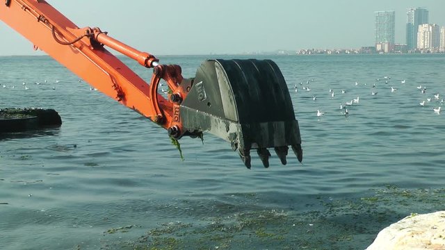 Excavator Working in Sea. Marine Debris Pollution Removal