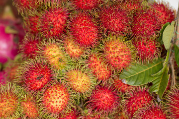 Closeup of red fresh Rambutans