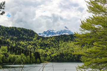 view of the Alpsee lake near the Neuschwanstein castle in Bavaria