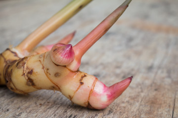 Galanga (Alpinia galanga) on wooden background