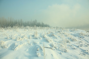 winter landscape