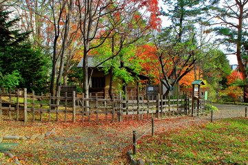 札幌、中島公園の秋の風景