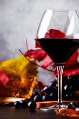 Dry red wine in large glass, autumn still life with red and yellow leaves on gray background, wine tasting, selective focus