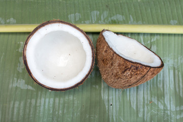 Close up of coconut on green background