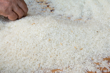 Closeup of rice