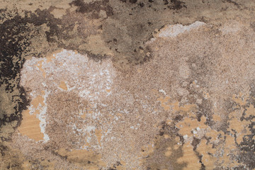 Old Wooden panel texture for background.