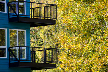 Blue building next to birches with yellow foliage in Redmond