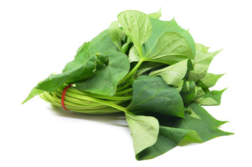 Bunch of sweet potatos leaves
