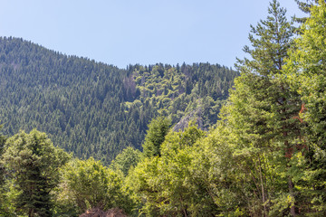 Landscape in Rhodopes